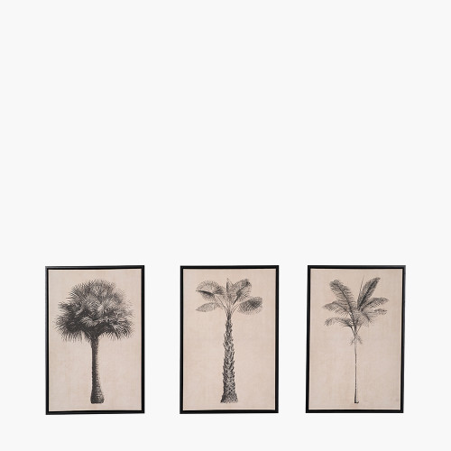 S/3 Natural/Black Palm Tree Canvases