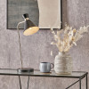 Benedict Black and Brushed Silver Metal Table Lamp