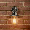 Lilium Brushed Steel Metal and Glass Fisherman Wall Light