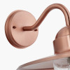 Lilium Copper Metal and Glass Fisherman Wall Light