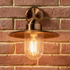 Lilium Copper Metal and Glass Fisherman Wall Light