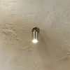 Lantana Brushed Steel Adjustable Directional Spot Light