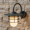 Centauri Dark Grey and Opaque Glass Wall Light