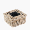 Tobs S/3 Indoor Outdoor Grey Kubu Rattan Square Basket Planters