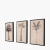 S/3 Natural and Black Palm Tree Print Canvases with Black Frames