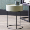 Hugo Sage Green Wood Veneer and Black Metal Storage Table