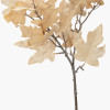 Natural Apricot Maple Leaf Pack of 6