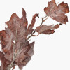 Mulberry Brown Maple Leaf Pack of 6