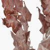 Mulberry Brown Maple Leaf Pack of 6