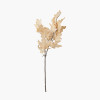 Natural Apricot Dried Flower Bunch