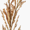 Natural Apricot Dried Flower Bunch