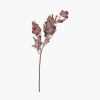 Mulberry Brown Dried Flower Bunch