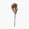 Mulberry Brown Dried Flower Bunch