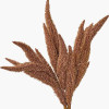 Mulberry Brown Dried Flower Bunch